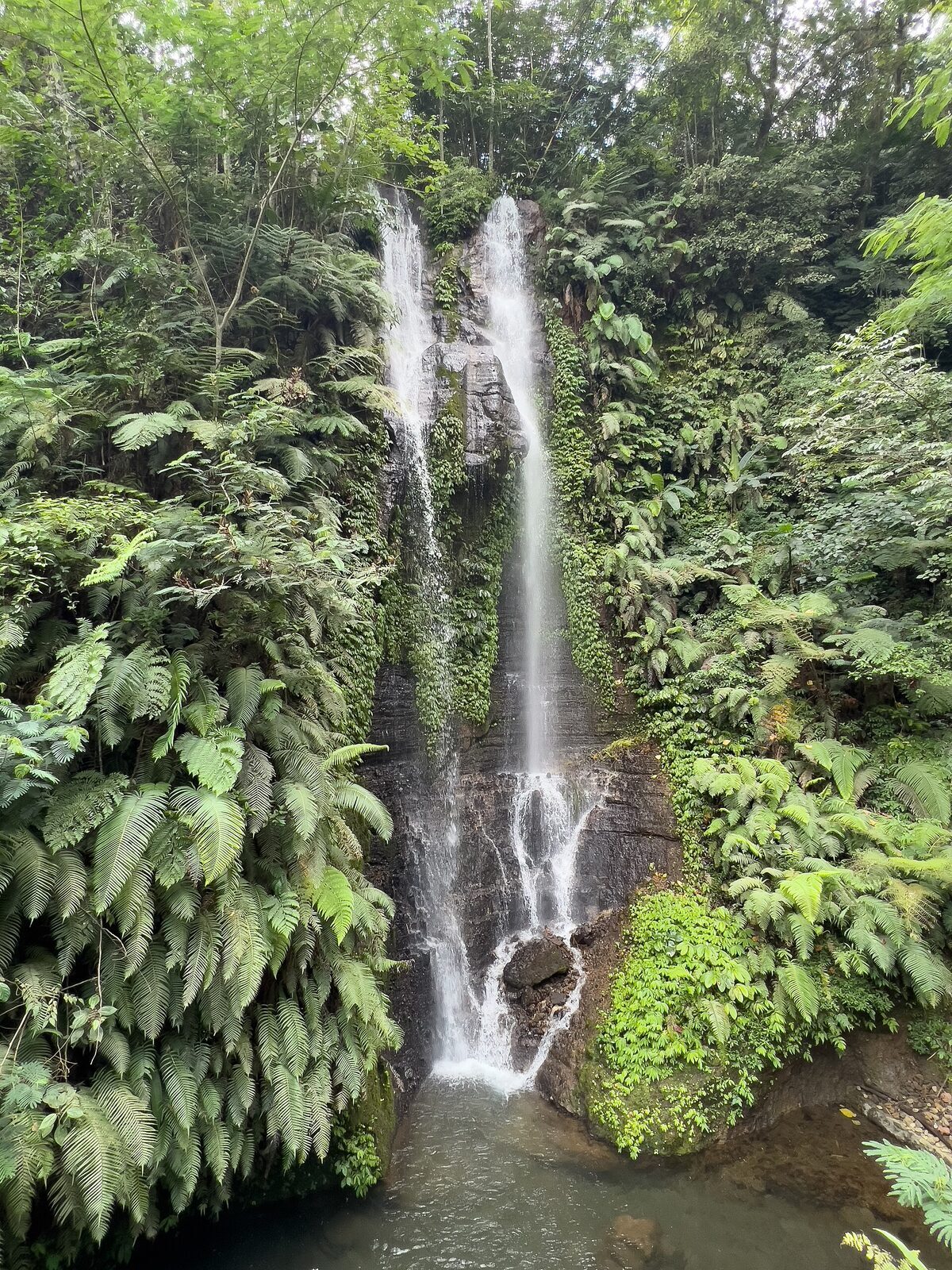 Another ribbon of water dropping down a mossy cliff on the linked valley trails.