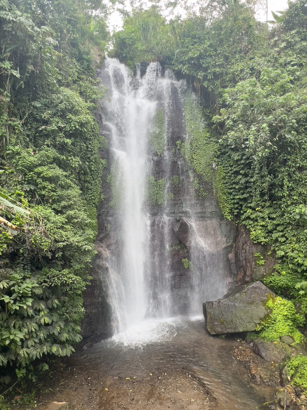 A high, narrow fall framed by dense forest — several like this thread the same valley.