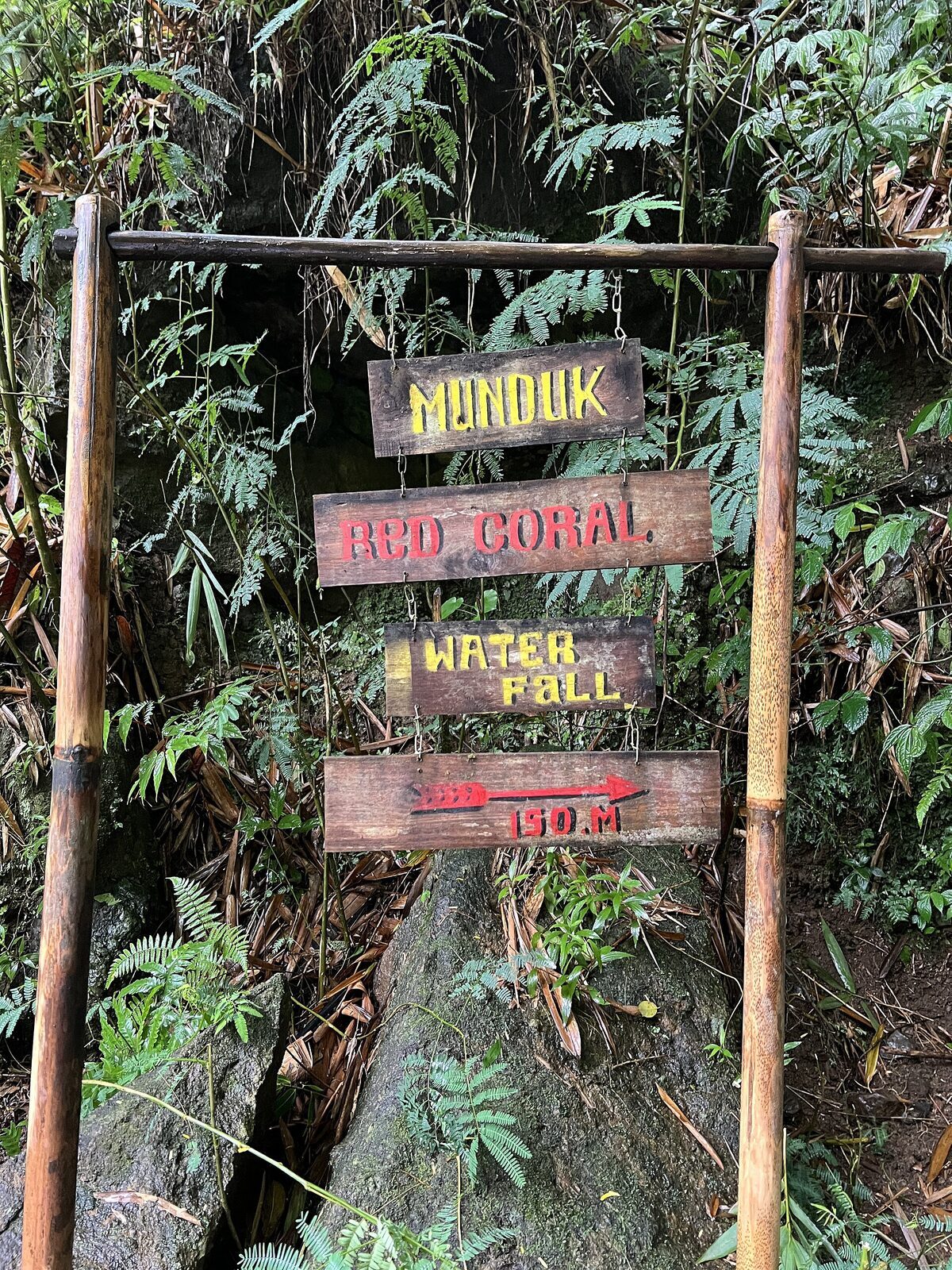 The gate at Munduk's Red Coral waterfall — most falls now charge a small cash fee, sometimes trail by trail.