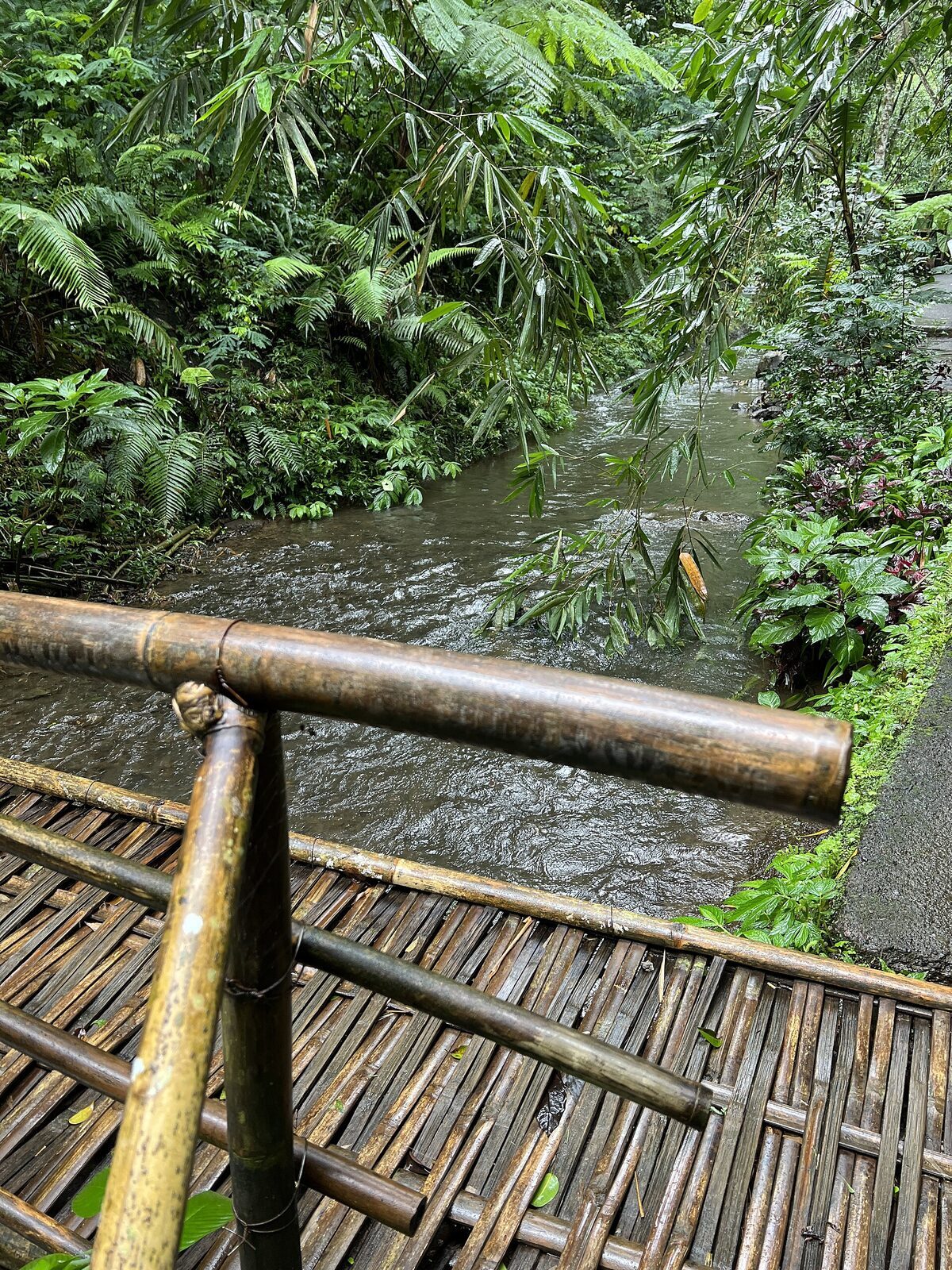 A bamboo footbridge on the linking trails — the falls are close enough to walk between in one loop.