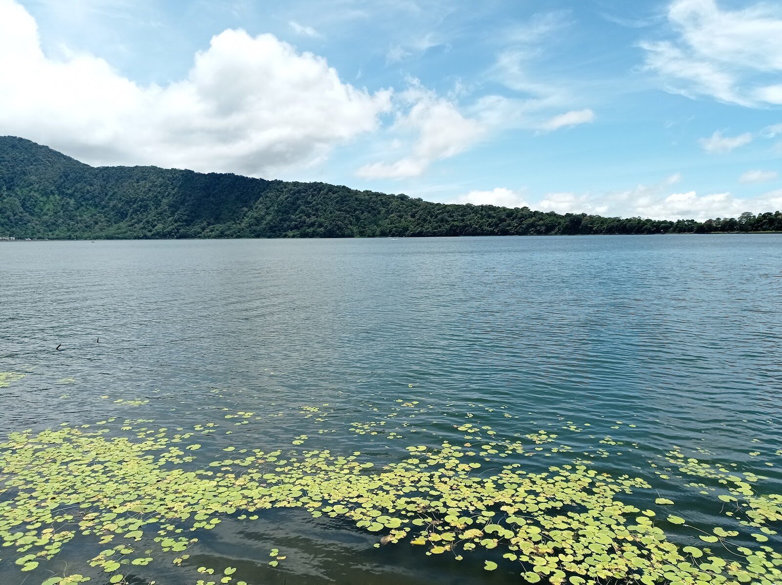 Lily-fringed still water in the Bedugul highlands — one of the crater lakes you pass on the crossing.