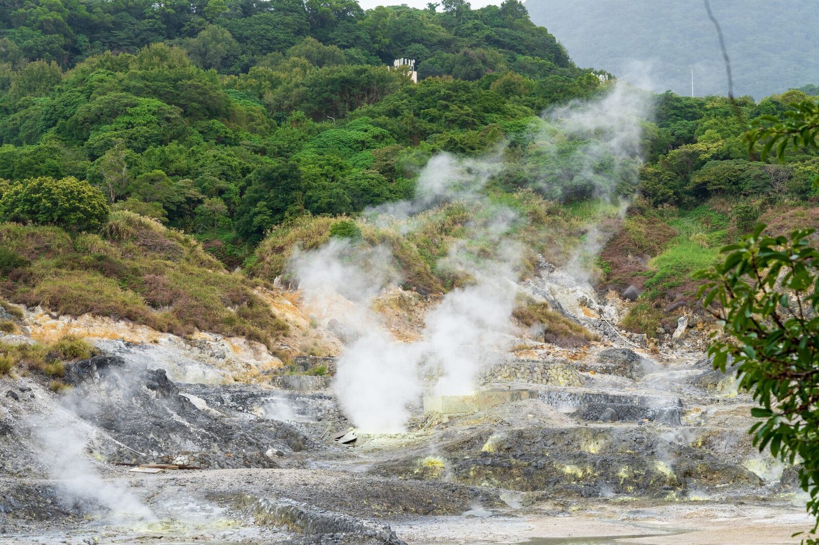 Steam rising off a geothermal hillside — the volcanic heat that feeds the north's warm springs. (A Bali geothermal scene.)