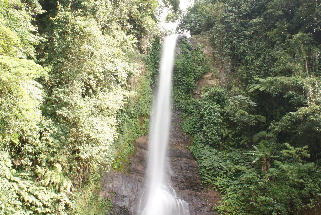 A single tall ribbon of water in dense jungle — the roadside-accessible kind, like Gitgit off the main road. (A north-Bali fall.)