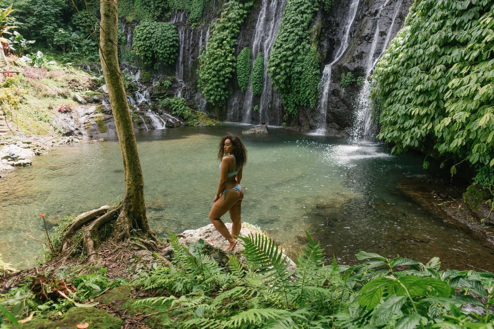 An emerald plunge pool below twin falls in the highland jungle — the lush, cool interior above the coast. (A north-Bali highland waterfall.)
