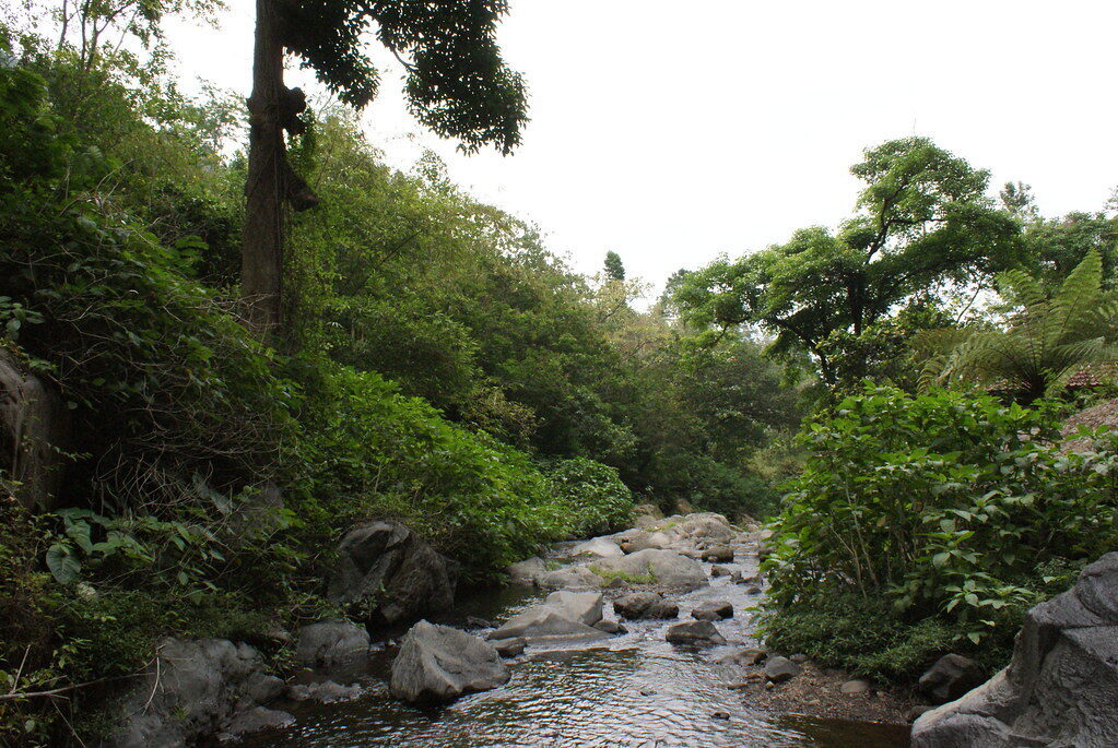 A boulder-strewn jungle stream — the gorges these falls carve. (Generic north-Bali gorge.)
