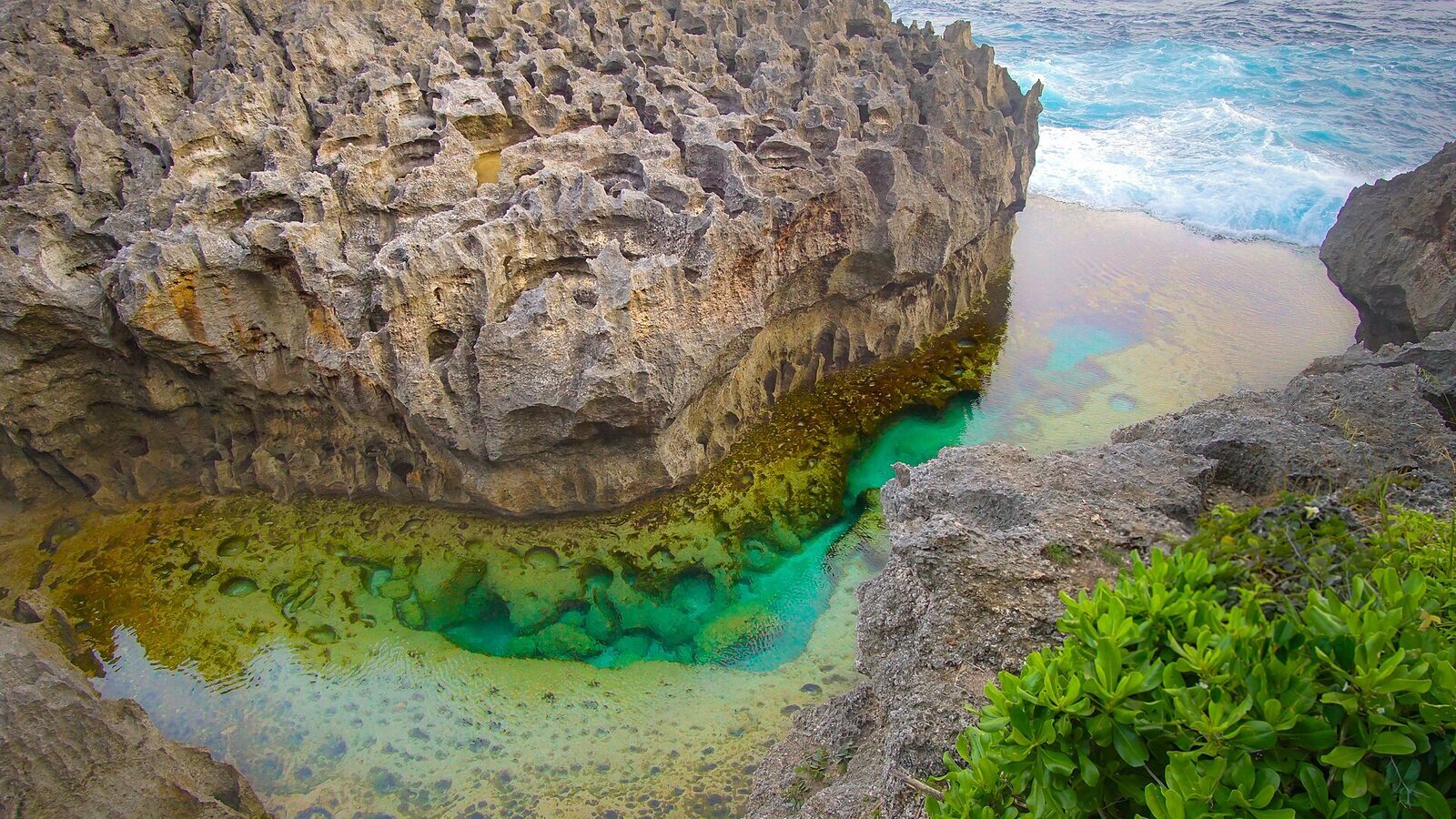 Angel's Billabong — the natural rock infinity pool, glowing green over its shallow floor at low tide.