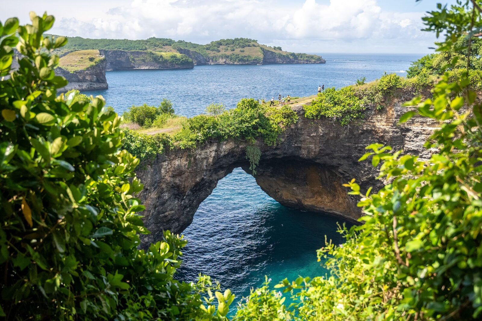 The arch framed by cliff-edge foliage.