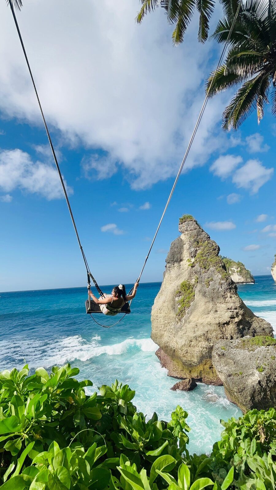 A swing hung under the palms above the sea at Diamond Beach.