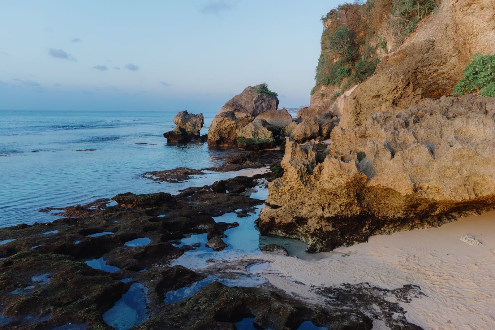 Exposed reef flats and tide pools at low water, the cliff behind.
