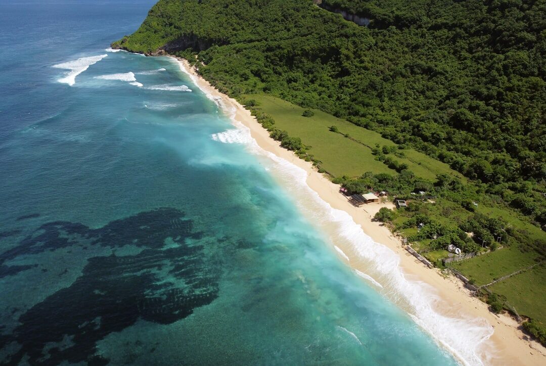 A long, wild stretch of Bukit beach and reef under green cliffs, seen from above.