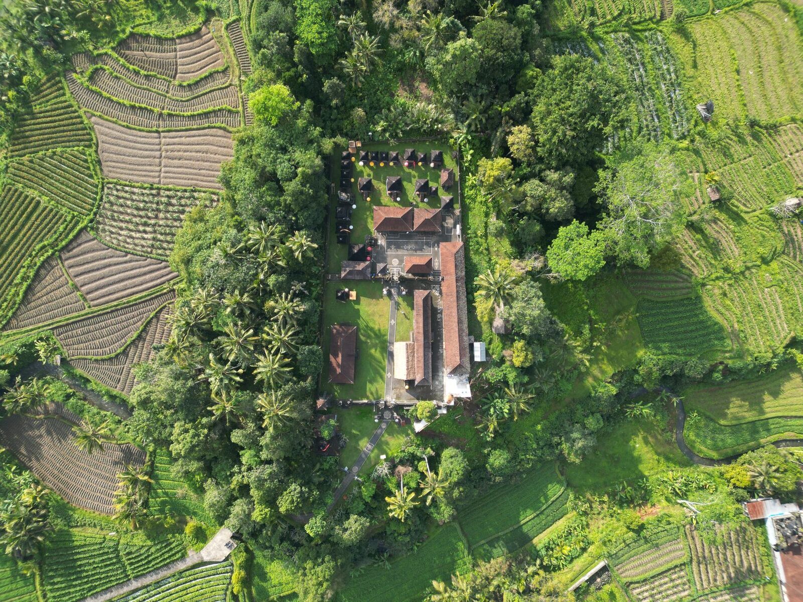 From above, a temple compound set among the rice fields it helps coordinate.