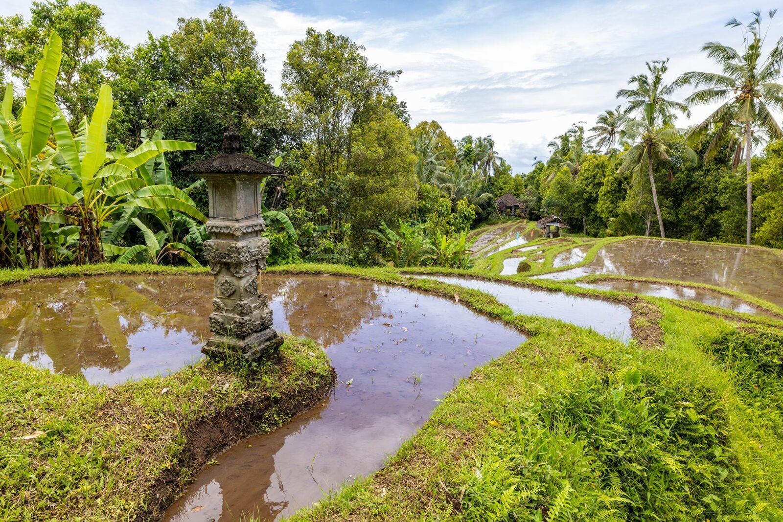 A flooded terrace with a small stone shrine standing in the water at the inlet.