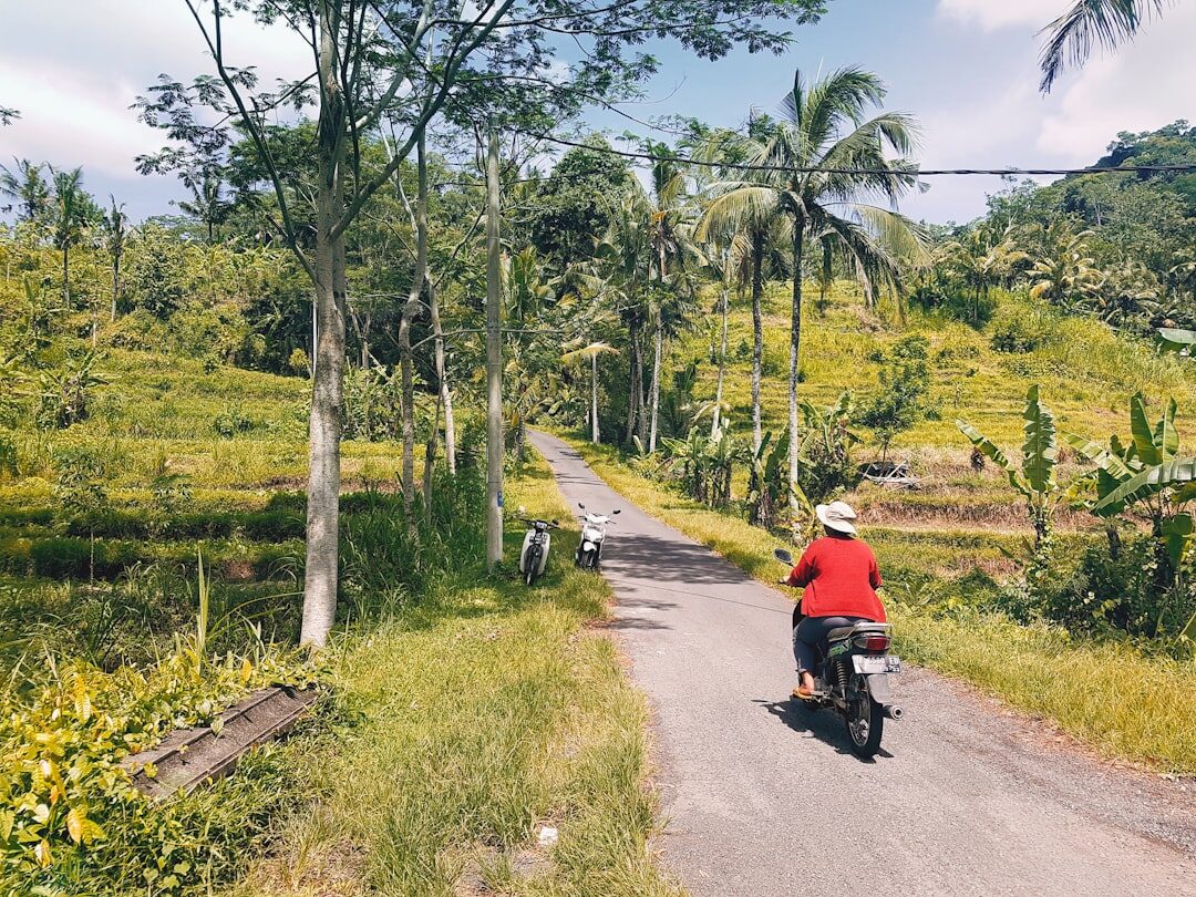 A rider in a red helmet on a scooter on a quiet rural road.