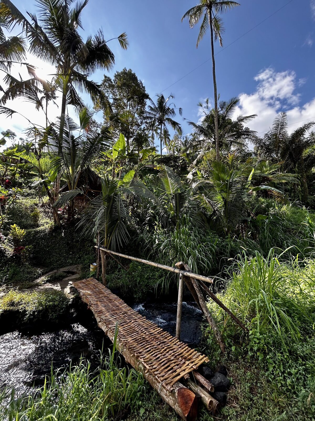 A bamboo footbridge on the trails that link the falls in this gorge.