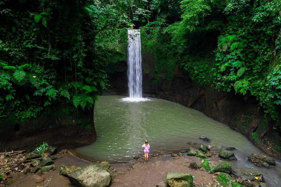 A quieter plunge pool in the same north-Bali waterfall country.