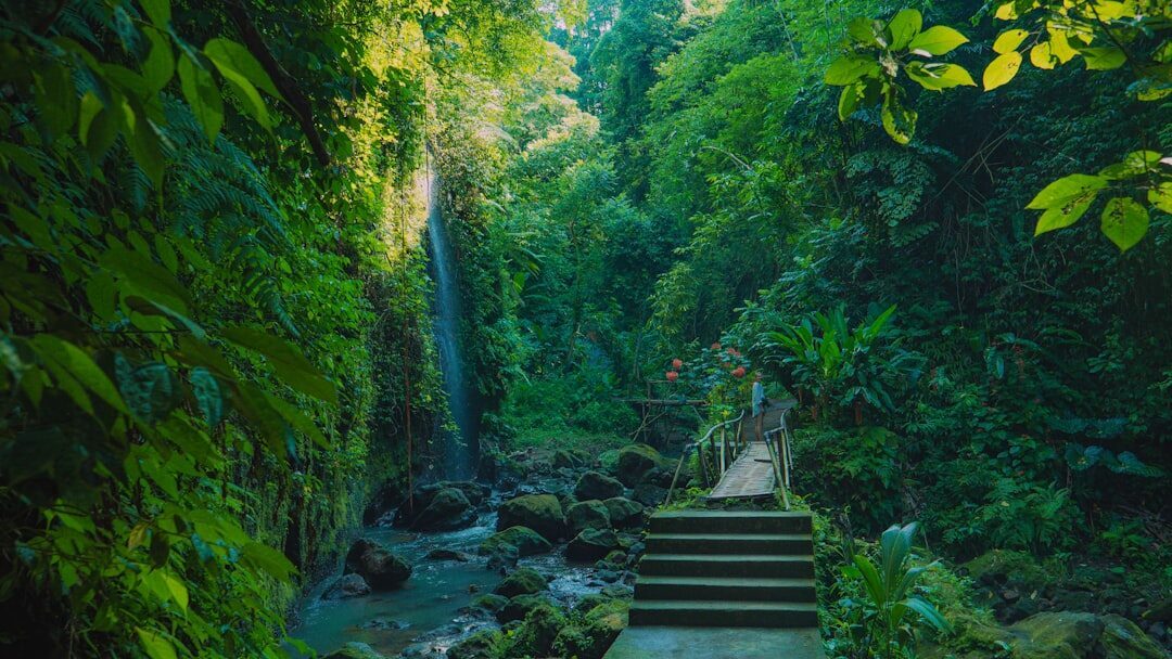 Stone steps leading down toward the stream — the descent is commonly counted at around 350–400.