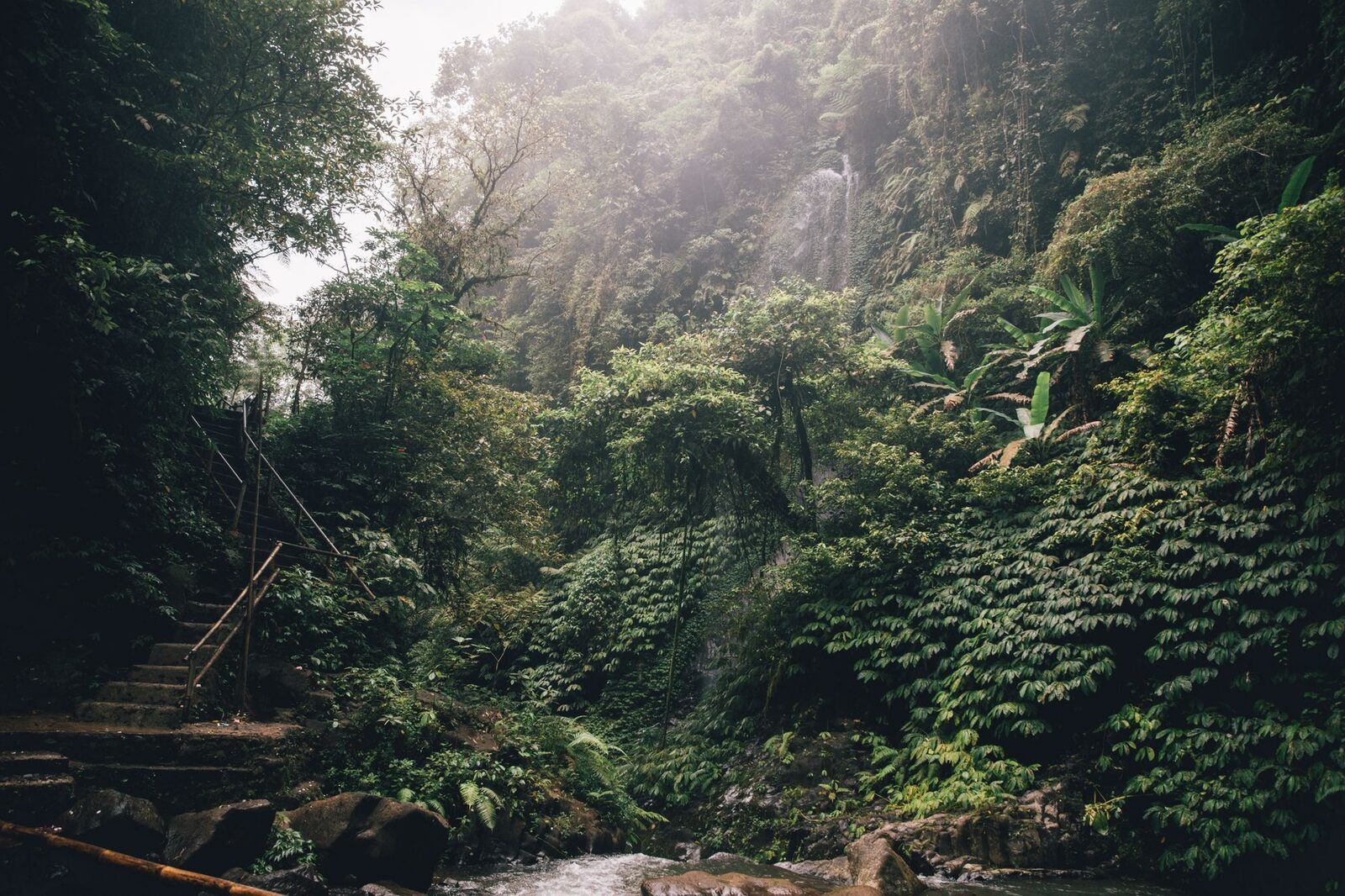The trail threading through dense jungle between the rim and the river.