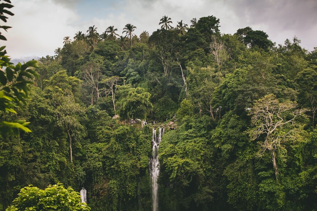 A distant cascade almost lost in the jungle canopy — the scale of the place.