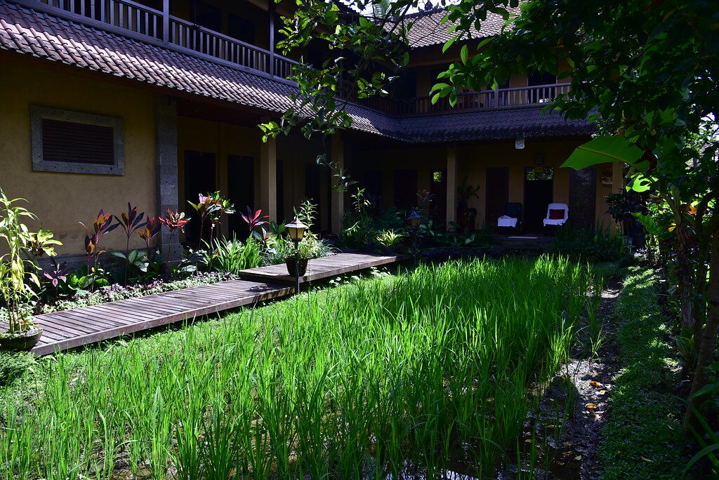 A wellness spa set in a rice-terrace garden — the genuine article.