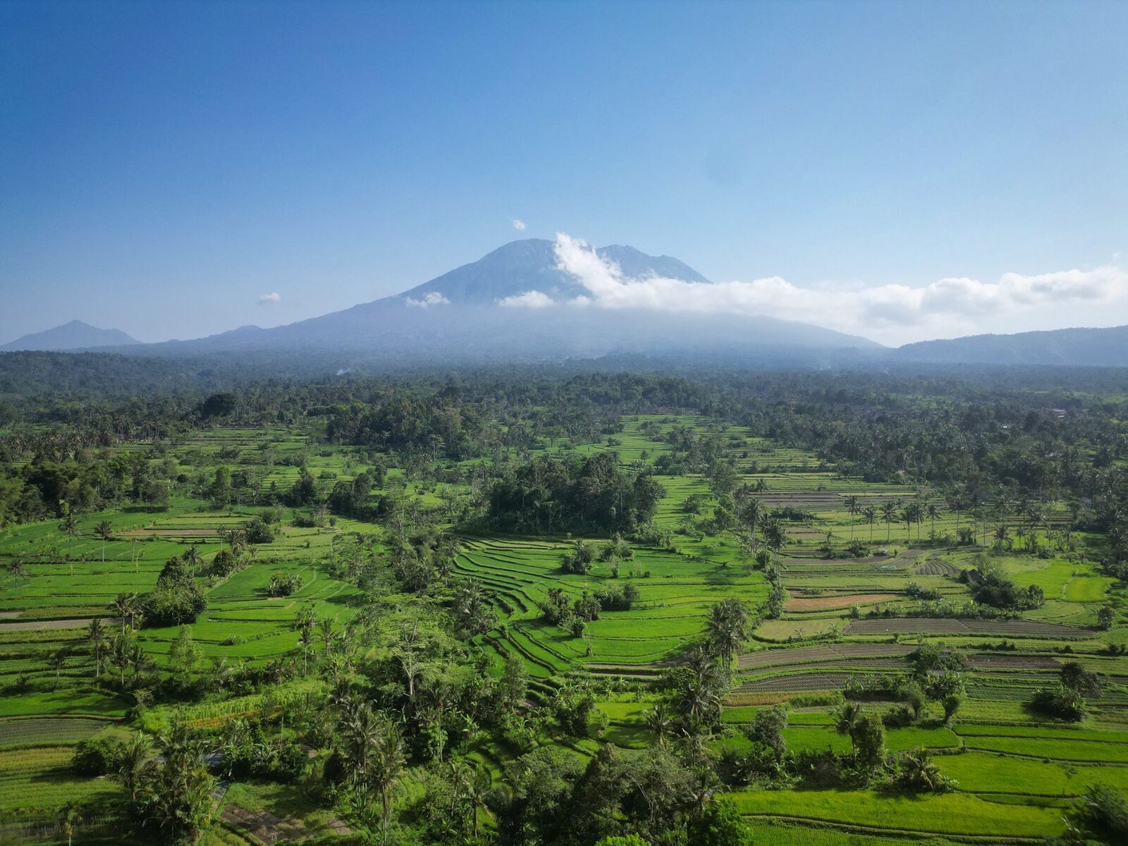 The wide valley with Agung cloud-wrapped behind — the view that vanishes for days when it rains.