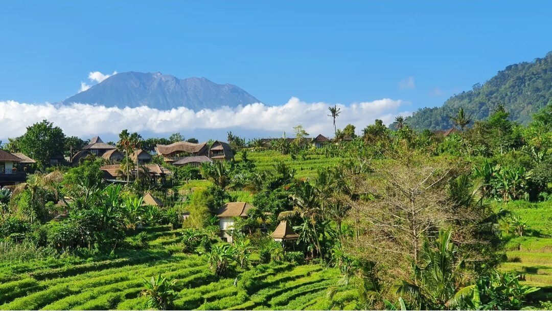 Mount Agung rising behind the Sidemen terraces — the volcano that fills every photo from the valley.