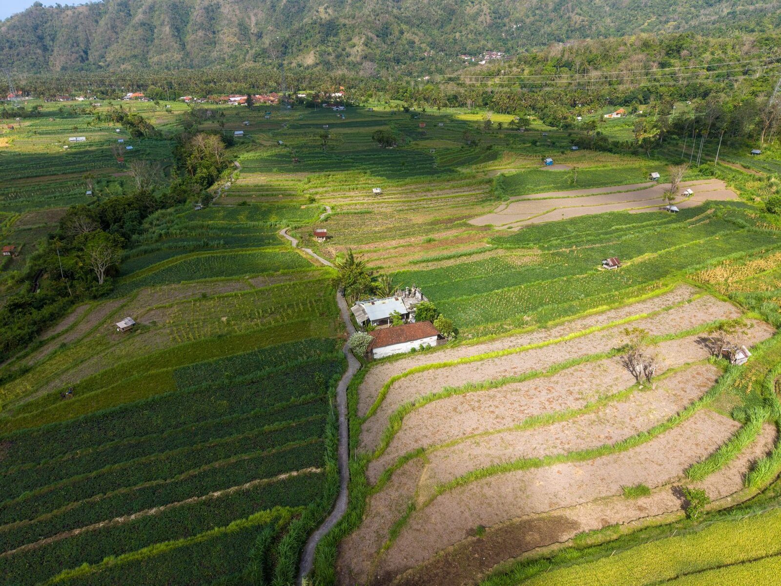 Aerial over the patchwork of fields and terraces on the valley floor.