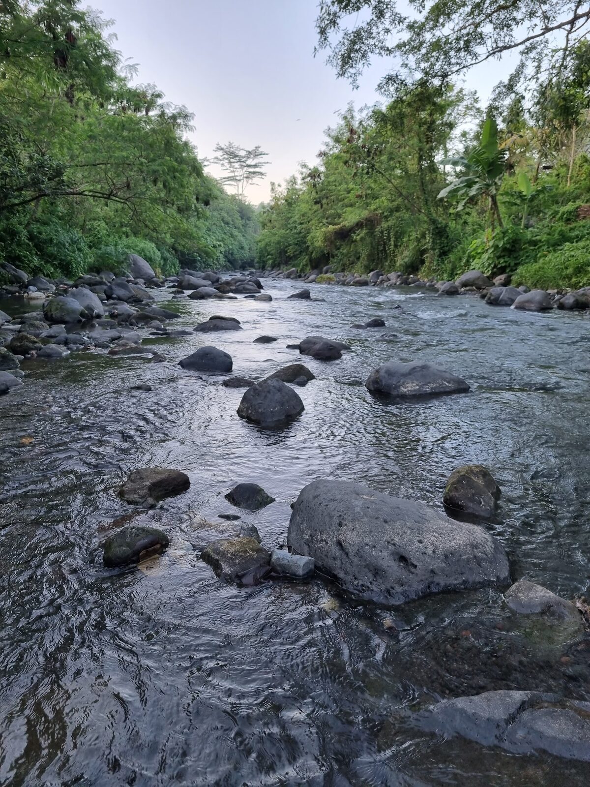 The Telaga Waja river at the bottom of the valley — where a guided trek usually ends up.