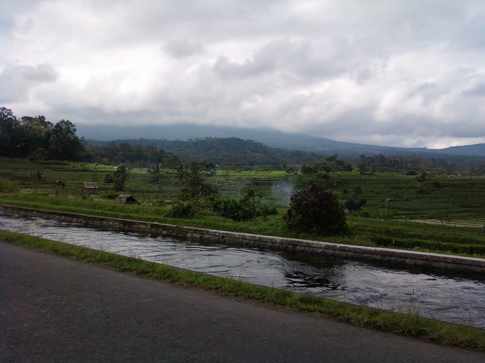 A rice terrace beside one of the valley's narrow lanes under a grey, about-to-rain sky.