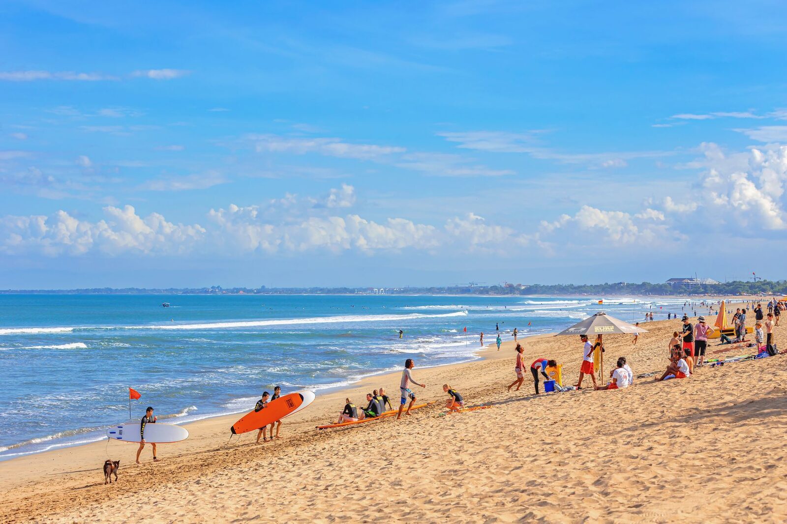 A sandy Kuta-Canggu beach break — soft bottom, foam boards on the sand and learners in the white-water. The right place to start.