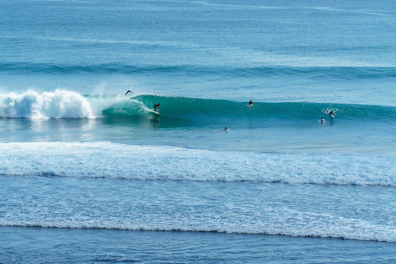 A long, clean wave peeling down a point, surfers spread along the shoulder — the step-up rides that reward you once you can catch green waves.