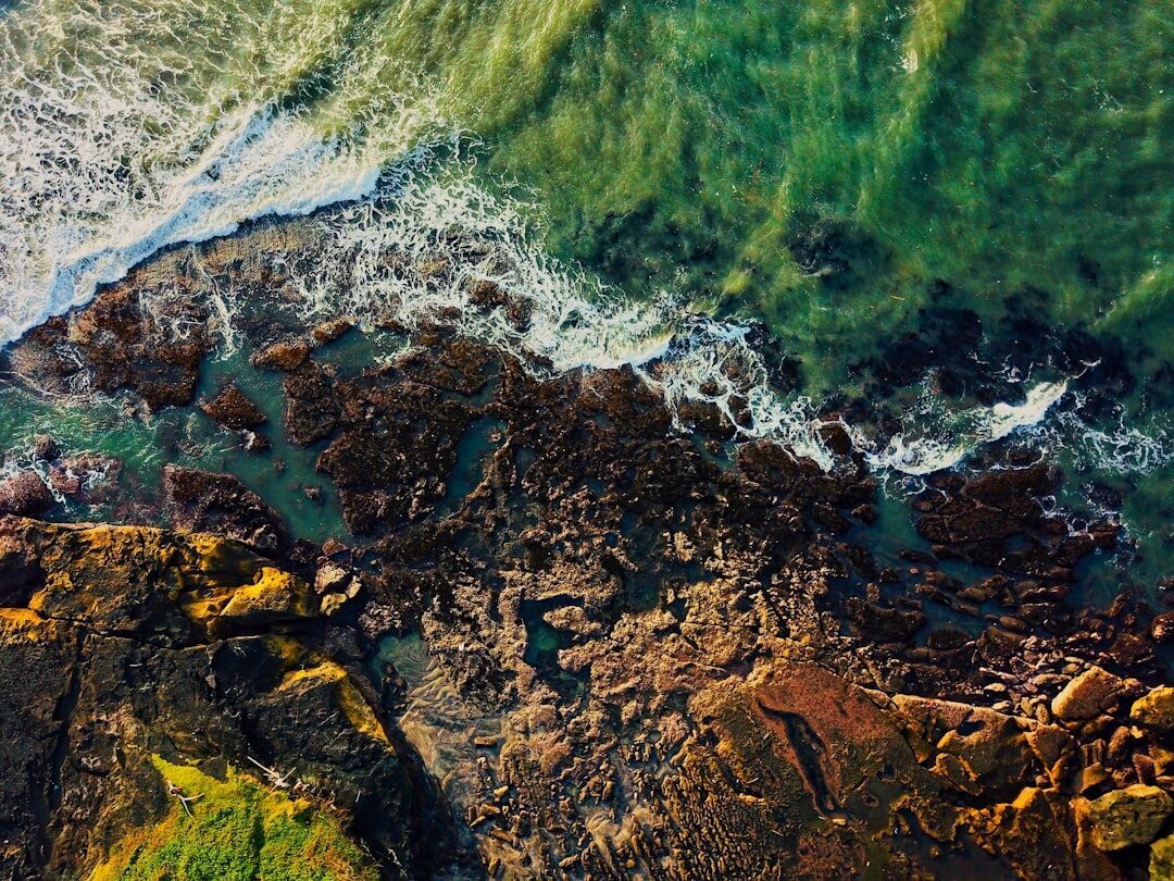 Coral and rock reef laid bare at low tide, the tide pools and ridges you can land on if you fall wrong.