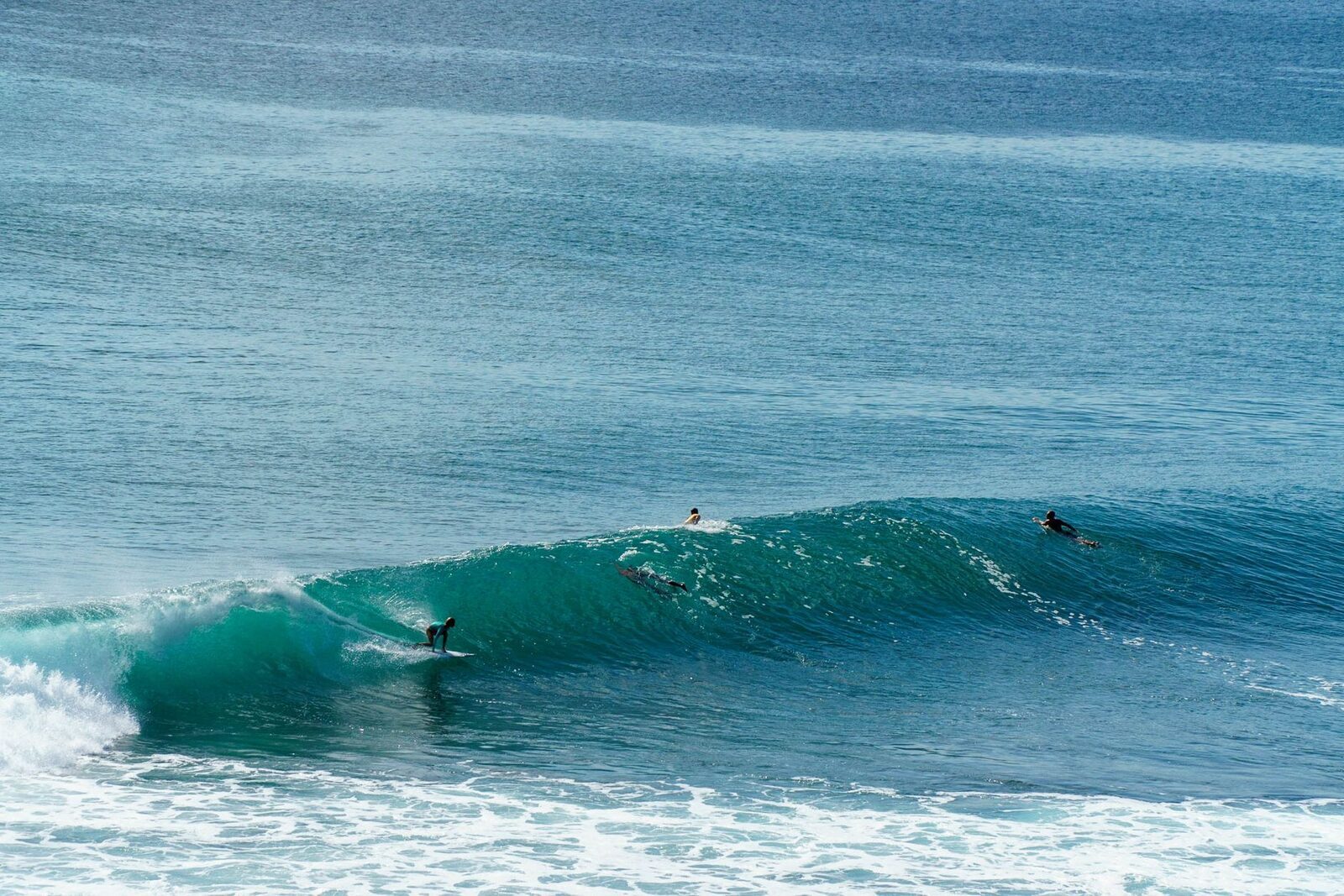 A wave wrapping over a reef point, the shallow bottom giving it its shape and its bite.
