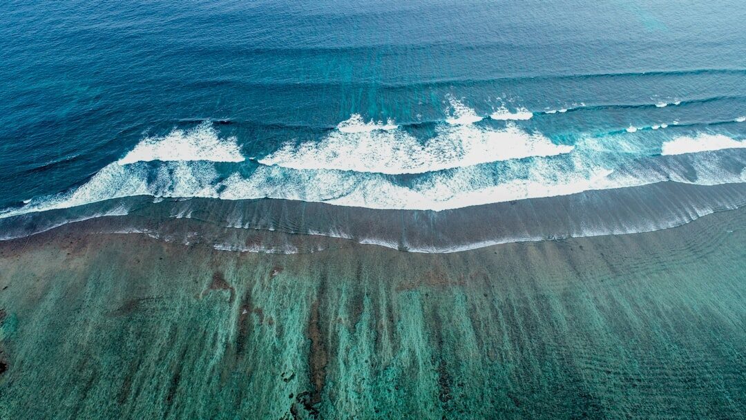 A wave folding over shallow reef, the dark coral bottom showing through the water — the sharp edge under almost every famous Bali wave.