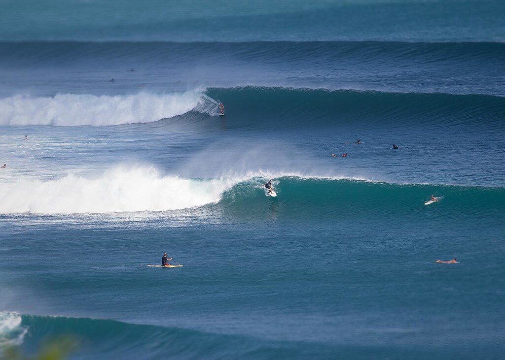 A big, perfect wall of swell breaking over reef, a surfer paddling into position.