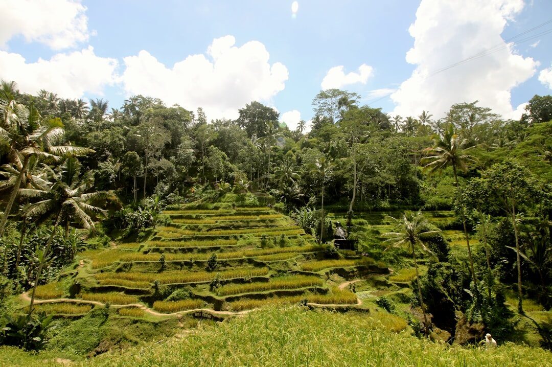 The quiet, empty terraces you get for turning up first — cool air, no crowds.