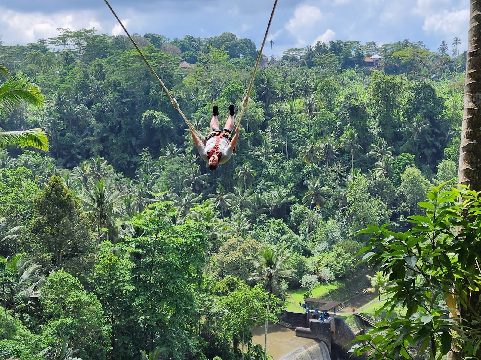 Swinging high above the jungle gorge — harness on, for the shot.
