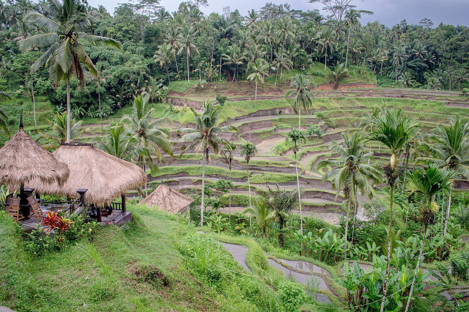 Tegallalang's terraces stepping up behind a farmer's thatched hut on the valley floor.
