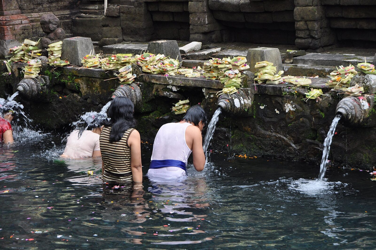 The purification pool at Tirta Empul — bathers at the carved stone spouts, offerings lined up along the ledge above.