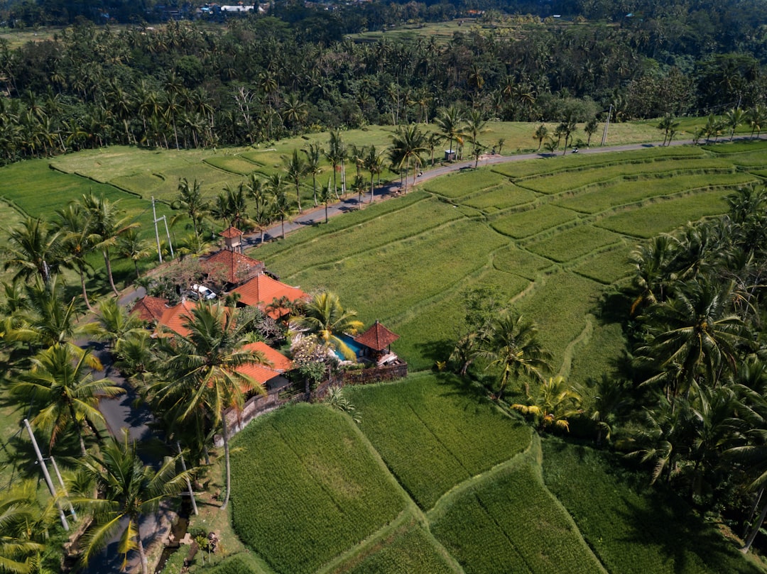 A private villa set into a Bali rice field