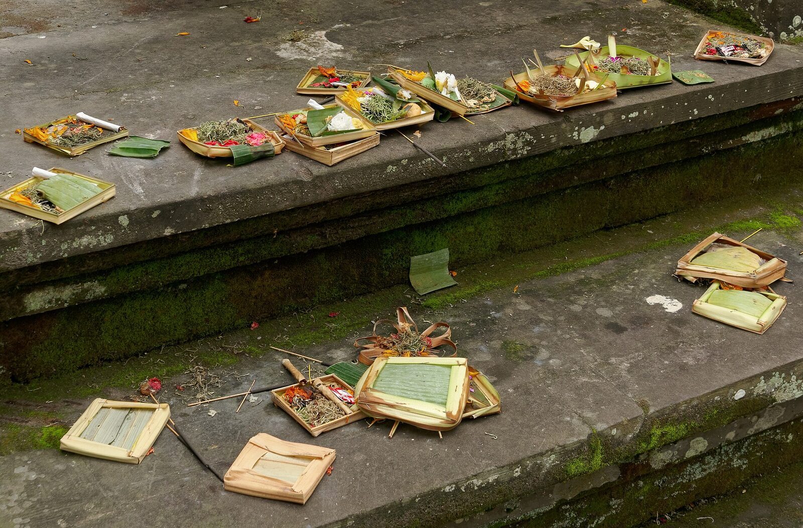 Canang sari offerings left on a threshold — the actual, free, everyday spirituality of Ubud, all around you.