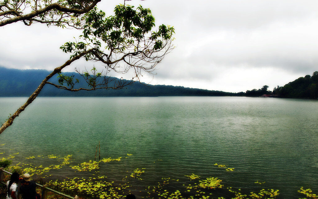 Lake Beratan under highland cloud, a branch framing the still grey water — the cool, damp weather that defines Bedugul.
