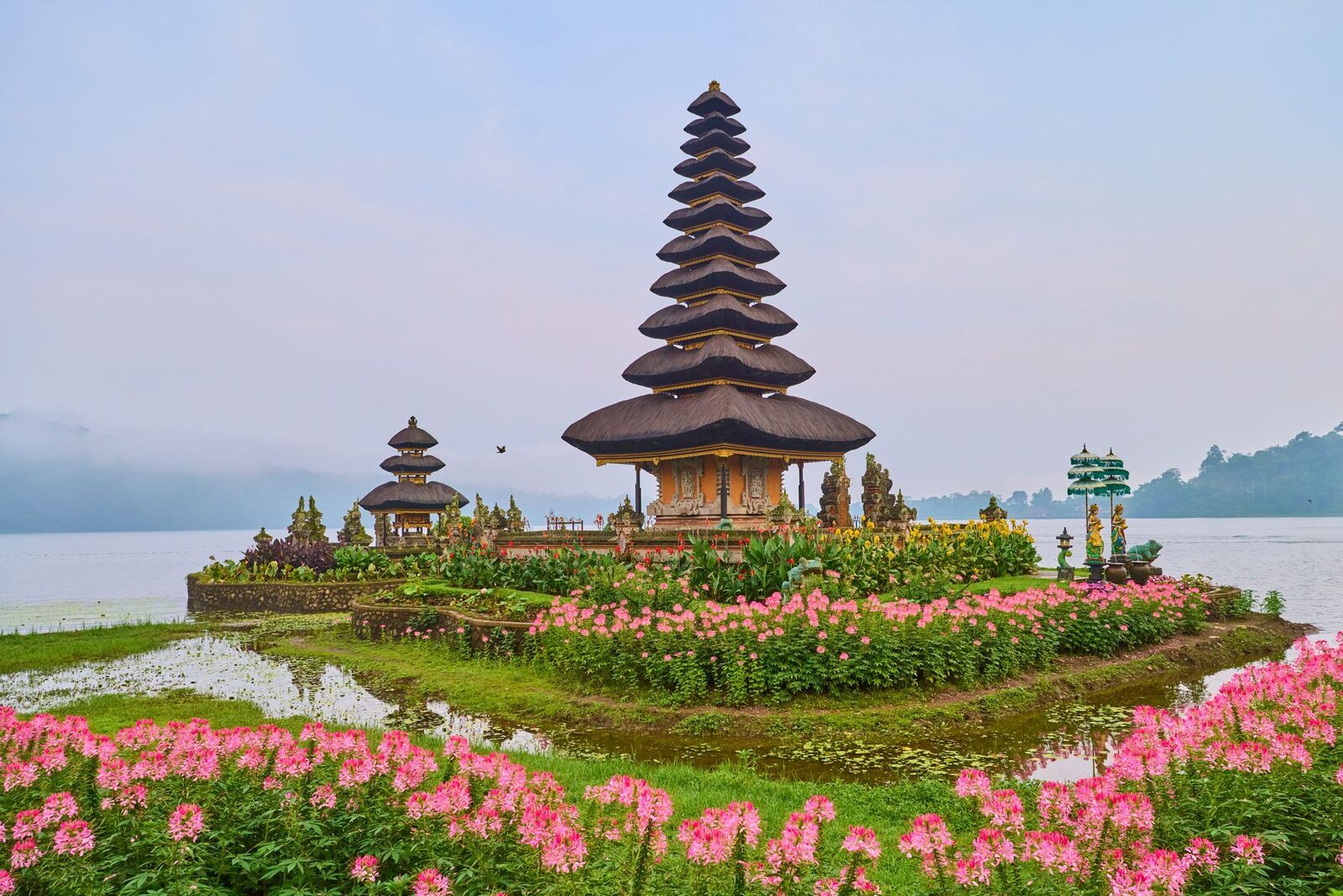 A pastel dawn sky and the shrine mirrored above a bank of pink flowers.