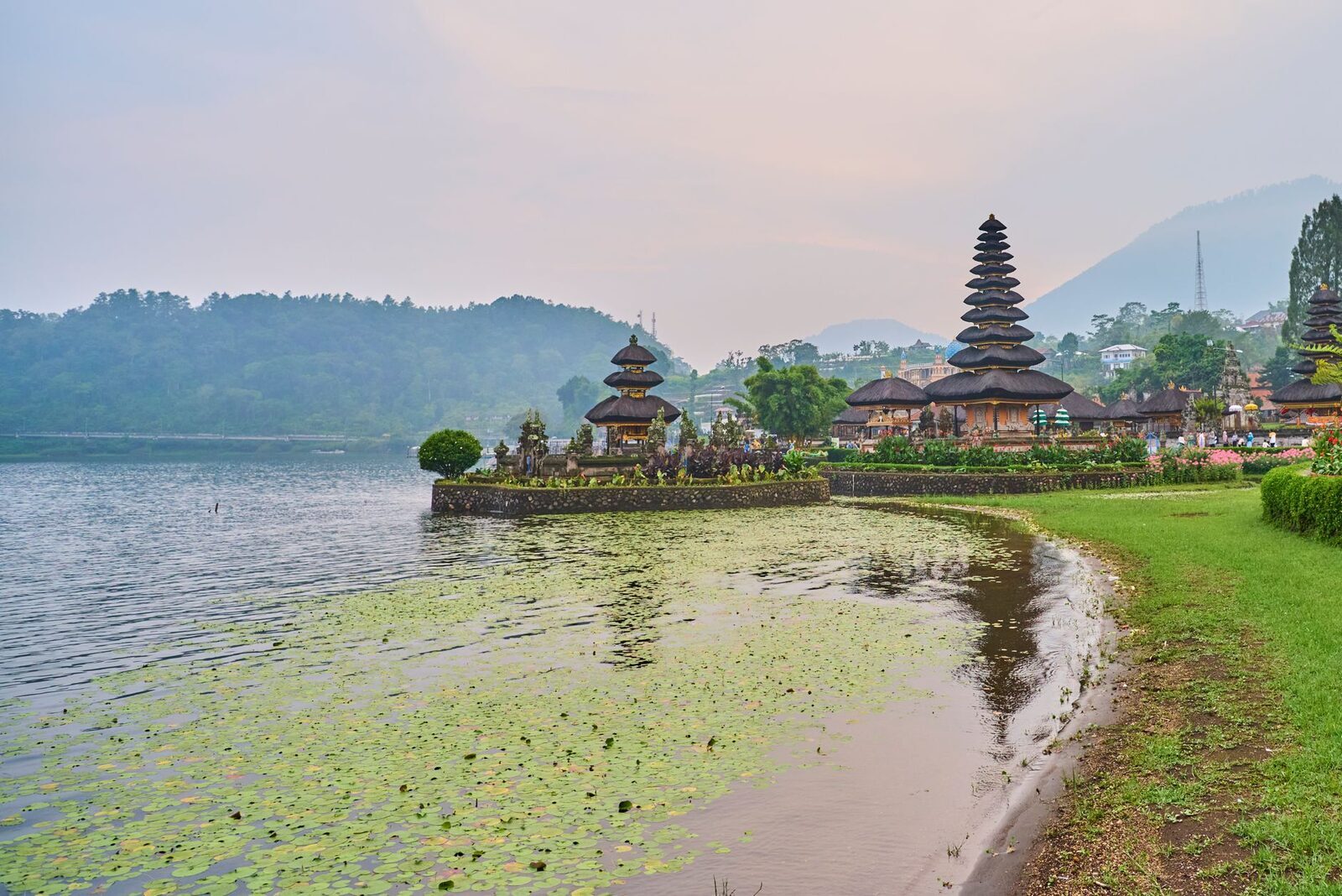 Morning mist on the lake, the temple across a shoreline furred with lily pads.