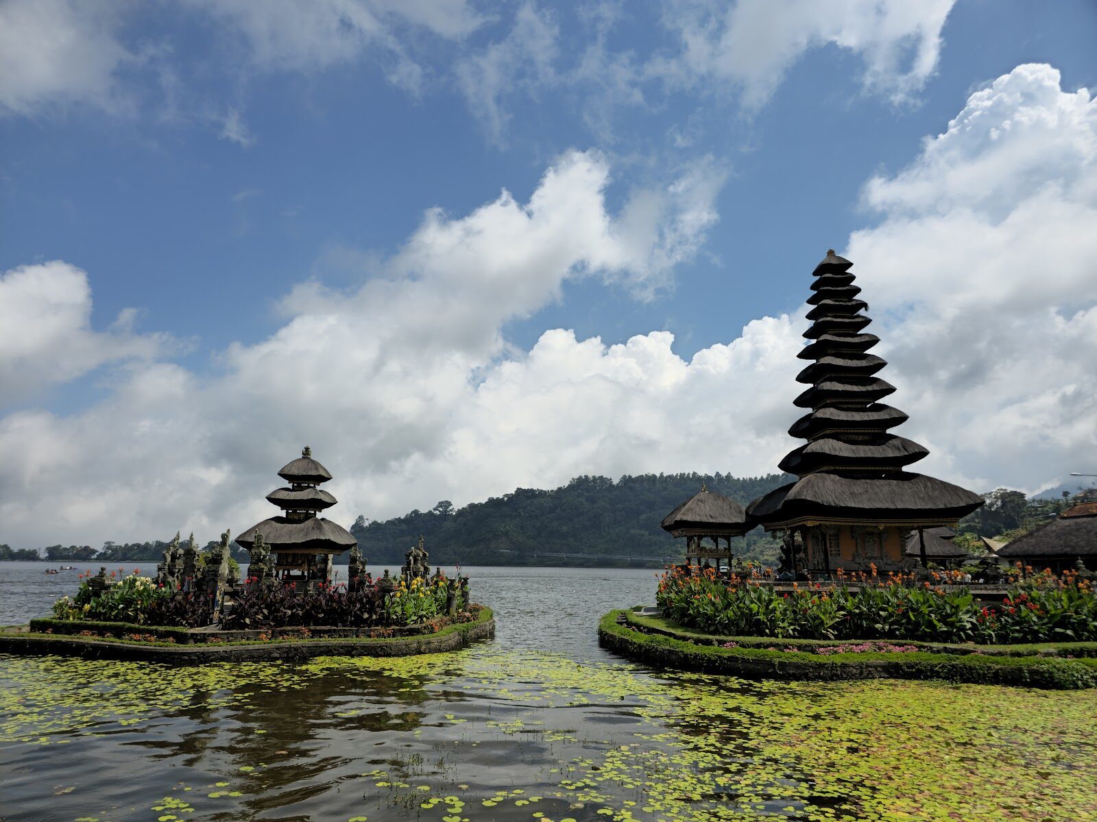 The meru and lily pads under a bright morning sky, the reflection breaking into ripples.