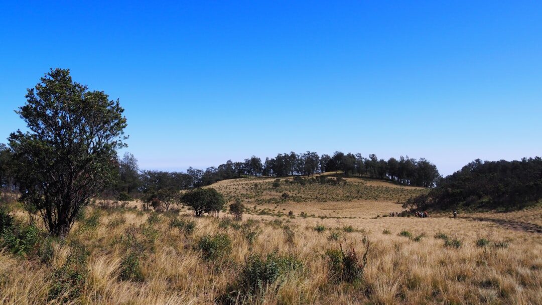 Dry-season savanna in the far northwest — the tinder-brown grassland the park turns to from April to October.