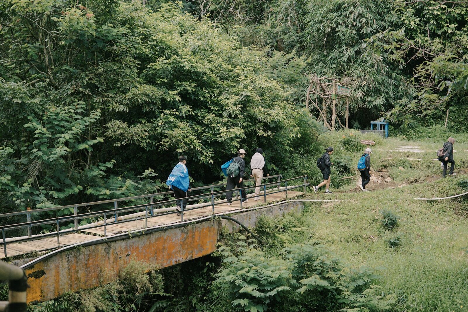 Trekkers on a forest footbridge — the classic half-day walk through forest and savanna edge.