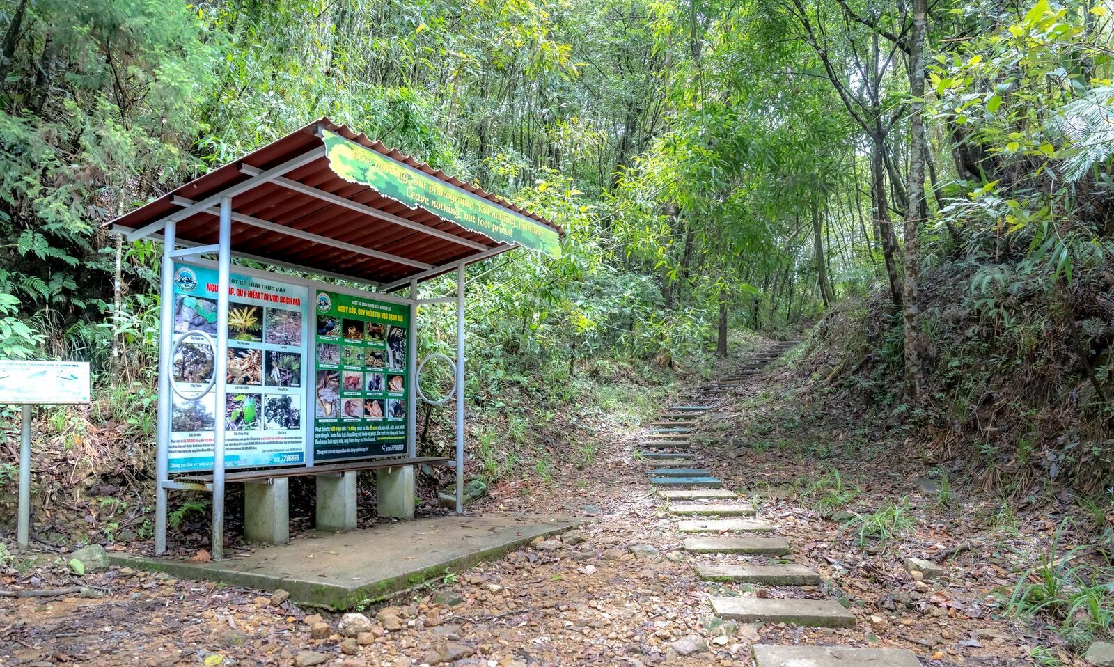 A trailhead into the forest — treks here go with a ranger or licensed guide, and early morning is best.