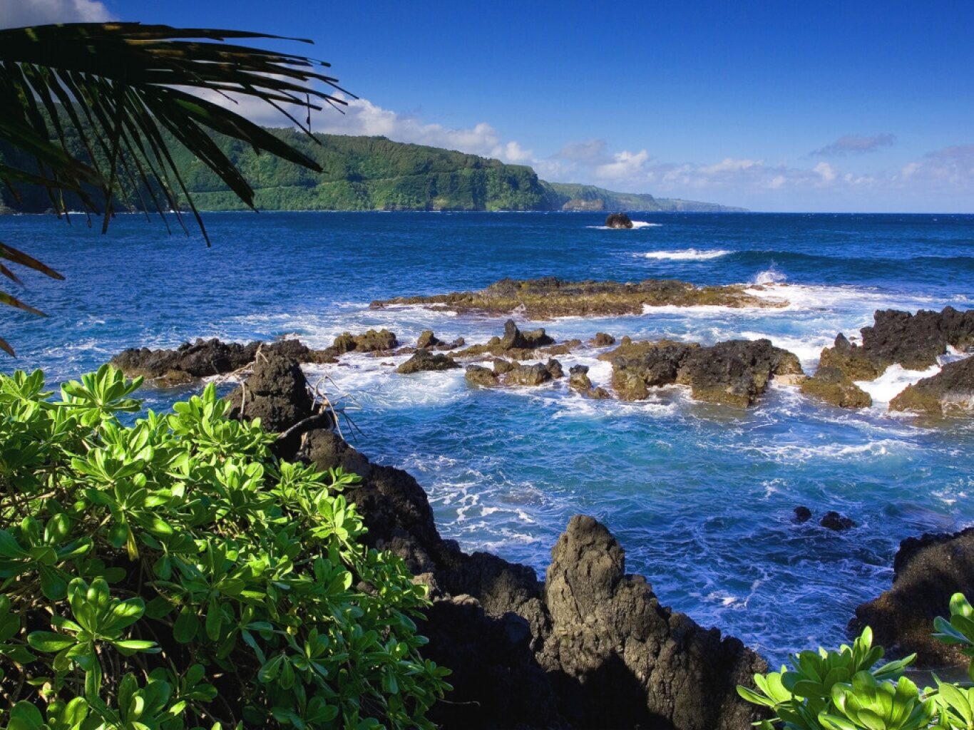 A volcanic-rock shore washed by clear water.