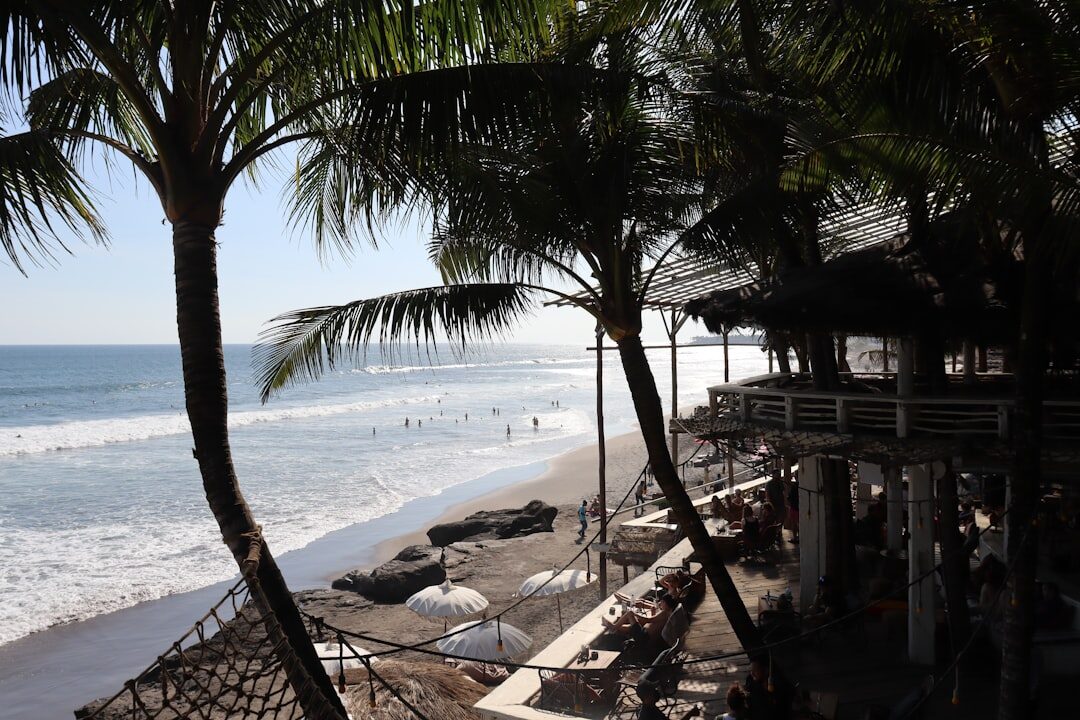 The Canggu shoreline at Batu Bolong — a palm-lined black-sand break with warungs right behind it. This is the strip the whole scene grew around.