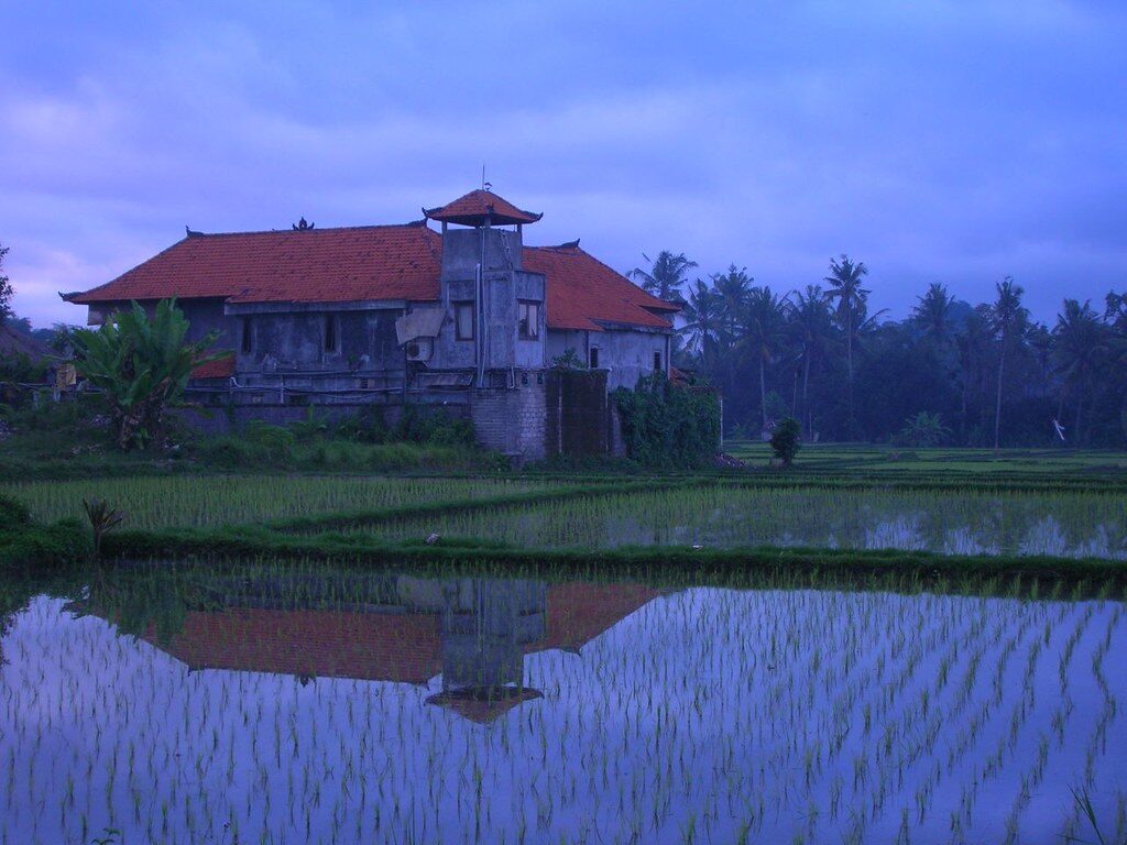 A small shrine mirrored in a flooded paddy — temples and rice terraces are never far apart up here.